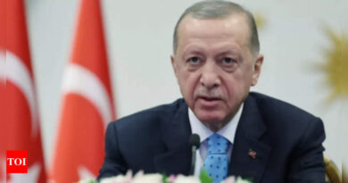 Islamic State leader killed in Syria by Turkish intelligence services: Erdogan - Times of India