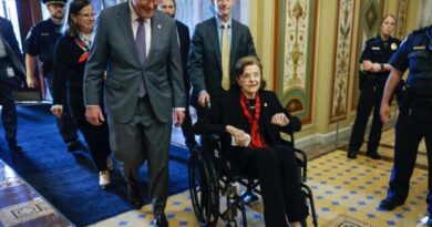 Dianne Feinstein Returns to Senate in Wheelchair, 'Experiencing Vision/Balance Impairments' (VIDEO) | The Gateway Pundit | by Cristina Laila