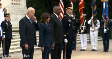 Joe Biden on Memorial Day: Confusion, Yawning and Not Knowing How to Salute (VIDEO) | The Gateway Pundit | by Cristina Laila