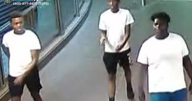 Black 14-Year-Old Charged With Hate Crime in NYC For Attacking Man While His Friends Called the Victim a 'Cracker' | The Gateway Pundit | by Cassandra MacDonald