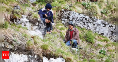 Himalayan Viagra: Three 'Himalayan Viagra' pickers missing after Nepal avalanche - Times of India