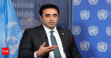 Pakistan foreign minister Bilawal Bhutto asks Imran Khan's party to 'not make matters worse', against banning party - Times of India