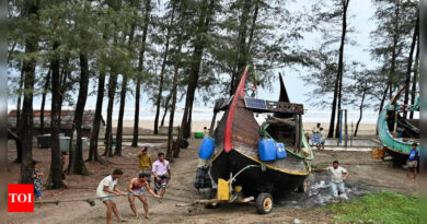 Tropical cyclones and storm surges: Why they are deadly - Times of India