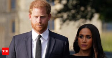 Meghan: Prince Harry, wife Meghan in 'near catastrophic car chase' involving paparazzi - Times of India