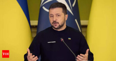 Zelenskyy to join G7 at Hiroshima summit as leaders prepare to unveil new Russia sanctions - Times of India