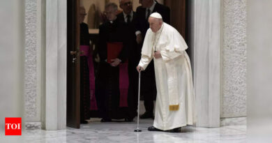 Pope calls for rival Sudanese parties to lay down arms - Times of India