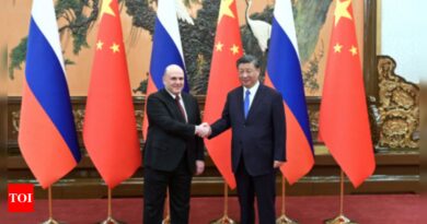 Russia: Russia, China seal economic pacts amid Western criticism - Times of India