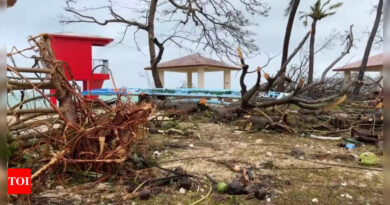 After Typhoon Mawar battered Guam, 'what used to be a jungle looks like toothpicks' - Times of India