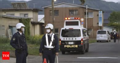 Japan: Three dead, one injured in stabbing, shooting incident in Japan - Times of India