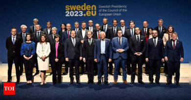 Nato: Swedish foreign minister says ambition is to join Nato by July - Times of India