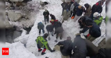 Pakistan: 10 killed in avalanche in Pakistan's Gilgit-Baltistan region - Times of India