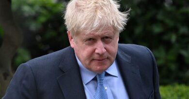 Boris Johnson referred to police over suspected COVID rule breach (again)