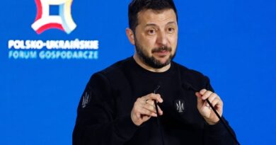 Zelenskyy moves to change Ukraine’s WWII Victory Day in jab at Russia