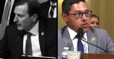 Conservative Journalist SHREDS Democrat Rep. Dan Goldman Over Antifa/BLM Riots During Hearing (VIDEO) | The Gateway Pundit | by Mike LaChance