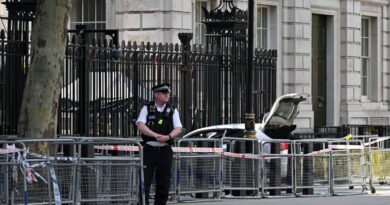 Man arrested after car crashes into Downing Street