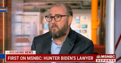 Hunter Biden's Lawyer Says He "Can't Recall" Ever Being Asked About the Laptop From Hell (VIDEO) | The Gateway Pundit | by Cristina Laila | 42