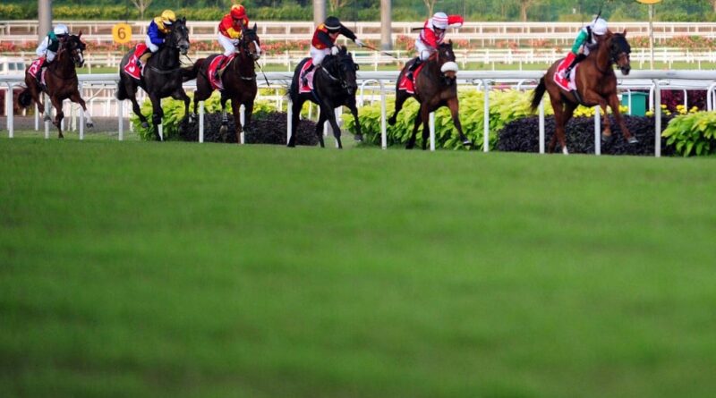 (FILES) Jockeys compete in the China Equine Cultural Festival Singapore Cup horse race at Kranji racecourse in Singapore on February 22, 2015. More than 180 years of horse racing in Singapore is set to come to an end with its final race in October 2024, as the city-state