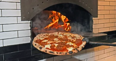 NYC to Crack Down on Wood-Fired Pizza Joints to Reduce Carbon Emissions by Up to 75% | The Gateway Pundit | by Cristina Laila | 42