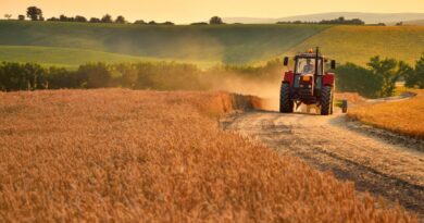 Hohmann: Globalists Rev Up Plans to Engineer Global Famine: 13 Nations Agree to Convert Over to Less-Productive ‘Green’ Farming Methods | The Gateway Pundit | by Jim Hoft