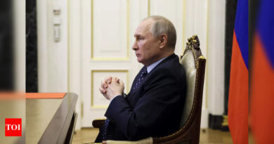 Russia: President Putin says 'ill-wishers' are trying to destabilise Russia - Times of India