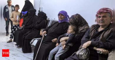 Turkey: Syrians lose life-saving care as Turkey halts medical visits - Times of India