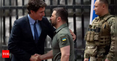 As Canada PM visits Kyiv, Zelenskyy says counteroffensive ‘taking place’ - Times of India