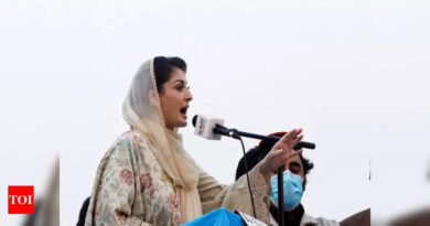 Maryam: PTI can fit in a rickshaw after defections: Maryam Nawaz - Times of India