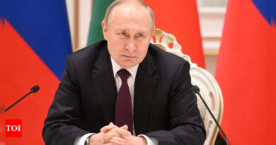 No further mobilisation needed right now: Putin - Times of India