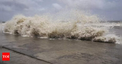 Pakistan 'largely spared' as Cyclone Biparjoy weakens after landfall - Times of India