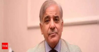 Pakistan's ruling PML-N chooses Shehbaz Sharif as party president; Maryam Nawaz vice-president - Times of India