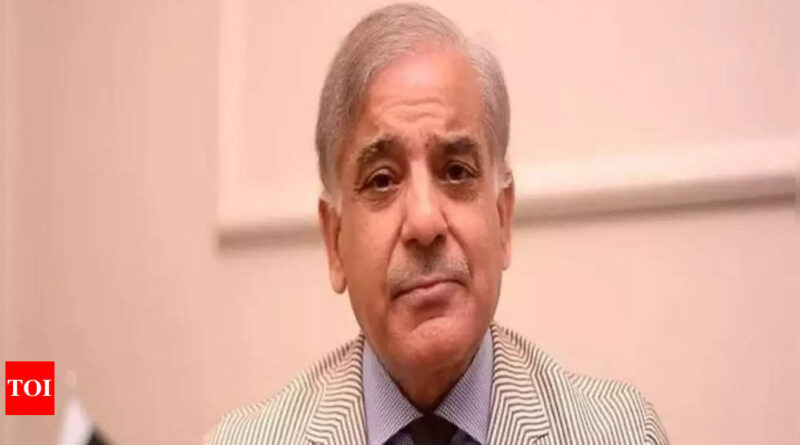 Pakistan's ruling PML-N chooses Shehbaz Sharif as party president; Maryam Nawaz vice-president - Times of India