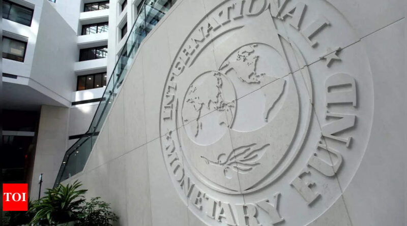 Pakistan blames geopolitics for stalled IMF programme - Times of India