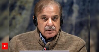 Shehbaz Sharif asks Nawaz to return Pakistan, become PM for fourth time - Times of India