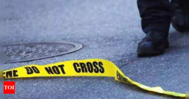 Kerala man stabbed to death in Southhampton Way Camberwell - Times of India