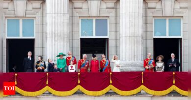 Charles: UK royal family unite for King Charles III's birthday parade - Times of India