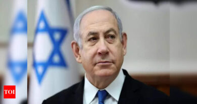 Lawyers elect leader with clout in Israel's judicial crisis - Times of India