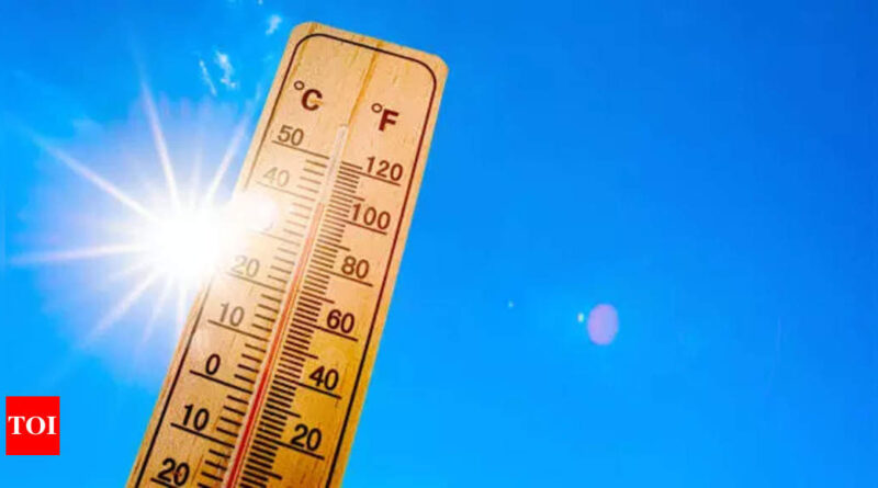 Mexico: Extreme heat kills more than 100 in Mexico: government - Times of India