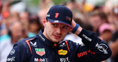 F1: Max Verstappen took checkered flag with dead bird on board