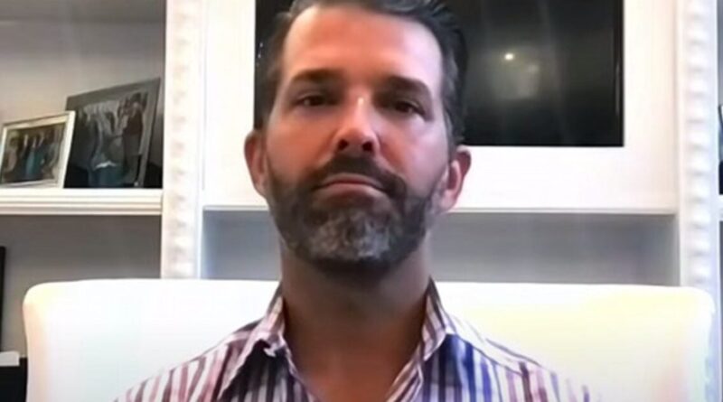 Donald Trump Jr. Slams Corrupt DOJ Over Indictment: 'There's Two Levels of Justice' (VIDEO) | The Gateway Pundit | by Mike LaChance | 38