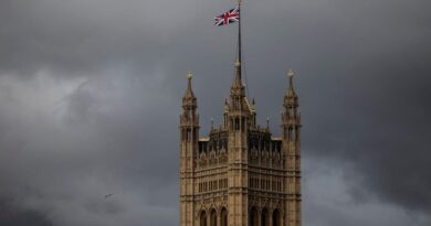 Labour receives formal complaint over suspended MP Geraint Davies