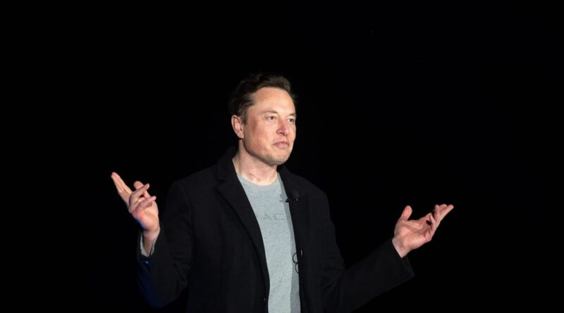 Elon Musk wants cage fight with Mark Zuckerberg (yes, really)