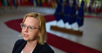 Poland to challenge EU climate laws before top court