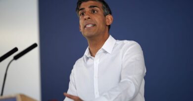 Rishi Sunak wants to lead the world on AI. The world ain’t listening