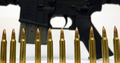 How US-made sniper ammunition ends up in Russian rifles