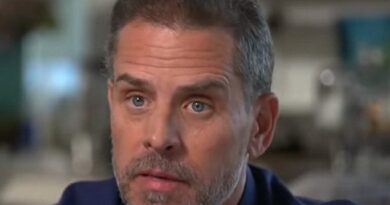 Hunter Biden Settles Child Support Dispute with Baby Mama Privately in Arkansas, Source Says | The Gateway Pundit | by Jim Hoft | 120