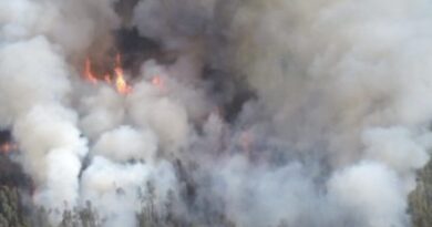 Firefighters Battle Wildfires in Northern Michigan (Video) | The Gateway Pundit | by Margaret Flavin