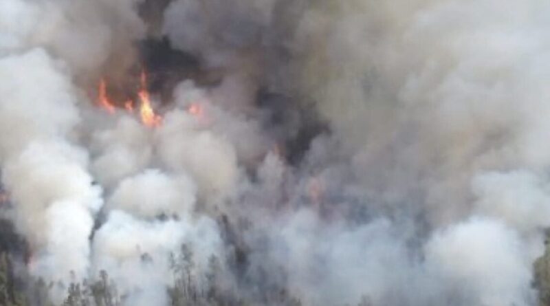 Firefighters Battle Wildfires in Northern Michigan (Video) | The Gateway Pundit | by Margaret Flavin