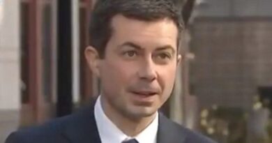 How Often is He Using Private Jets? Watchdog Group Files Lawsuit to Obtain Transportation Secretary Buttigieg's Flight Records | The Gateway Pundit | by Margaret Flavin | 168