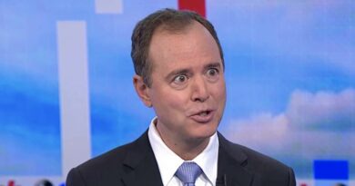 VOTE PASSES! US House of Represetatives Votes to Censure Adam Schiff - 213 Republicans Vote "Yes" to Seal the Deal! | The Gateway Pundit | by Jim Hoft | 72