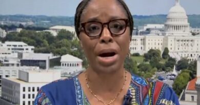 Democrat and Ranking Member of the House Weaponization Subcommittee Slips Up, Says the Quiet Part Out Loud, "Trump Needs to Be 'Shot' ...Stopped" (VIDEO) | The Gateway Pundit | by Anthony Scott | 163